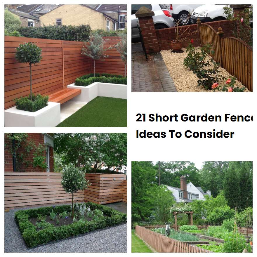 21 Short Garden Fence Ideas To Consider | SharonSable