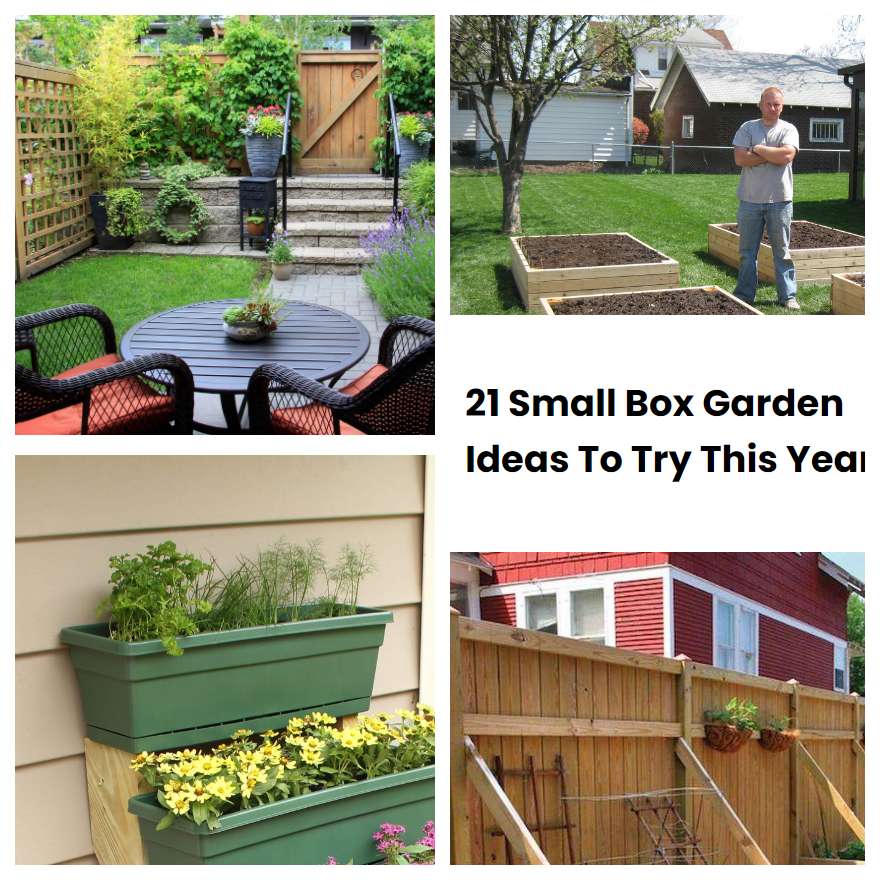 21 Small Box Garden Ideas To Try This Year | SharonSable