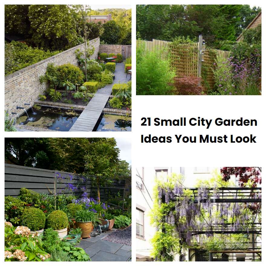 21 Small City Garden Ideas You Must Look | SharonSable