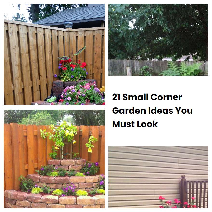 21 Small Corner Garden Ideas You Must Look | SharonSable