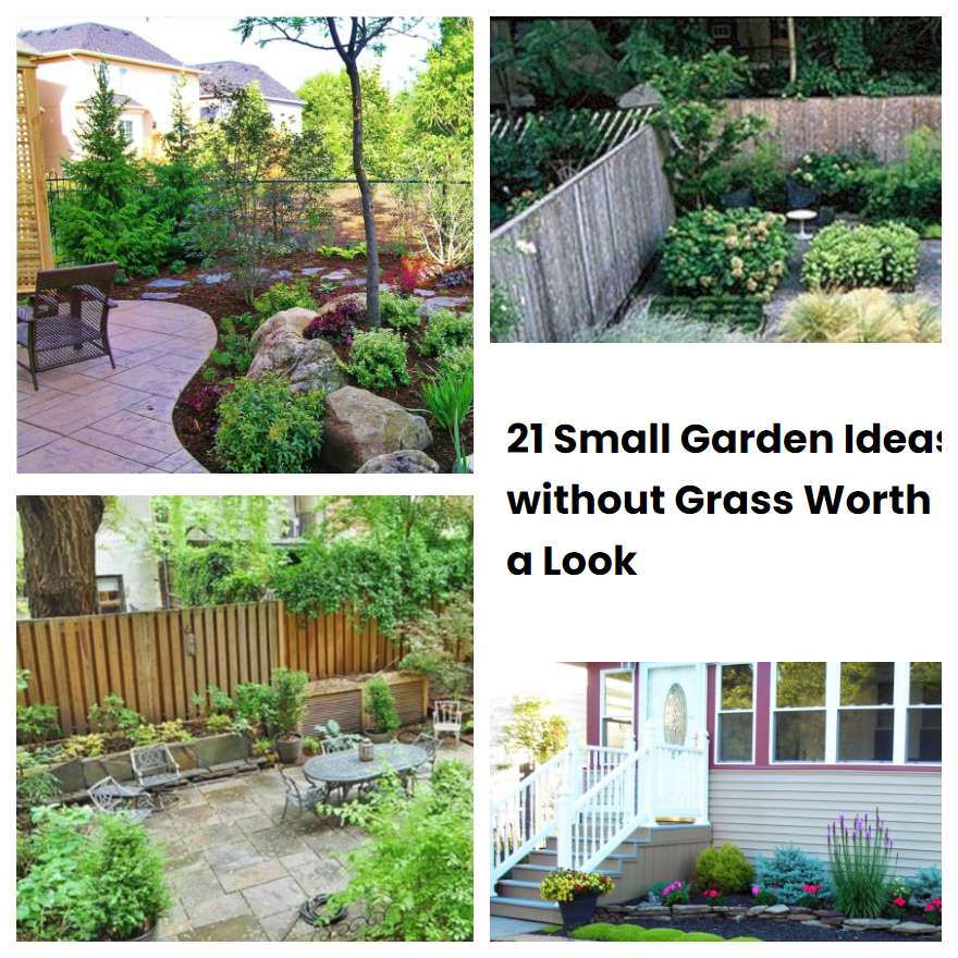 21 Small Garden Ideas without Grass Worth a Look | SharonSable