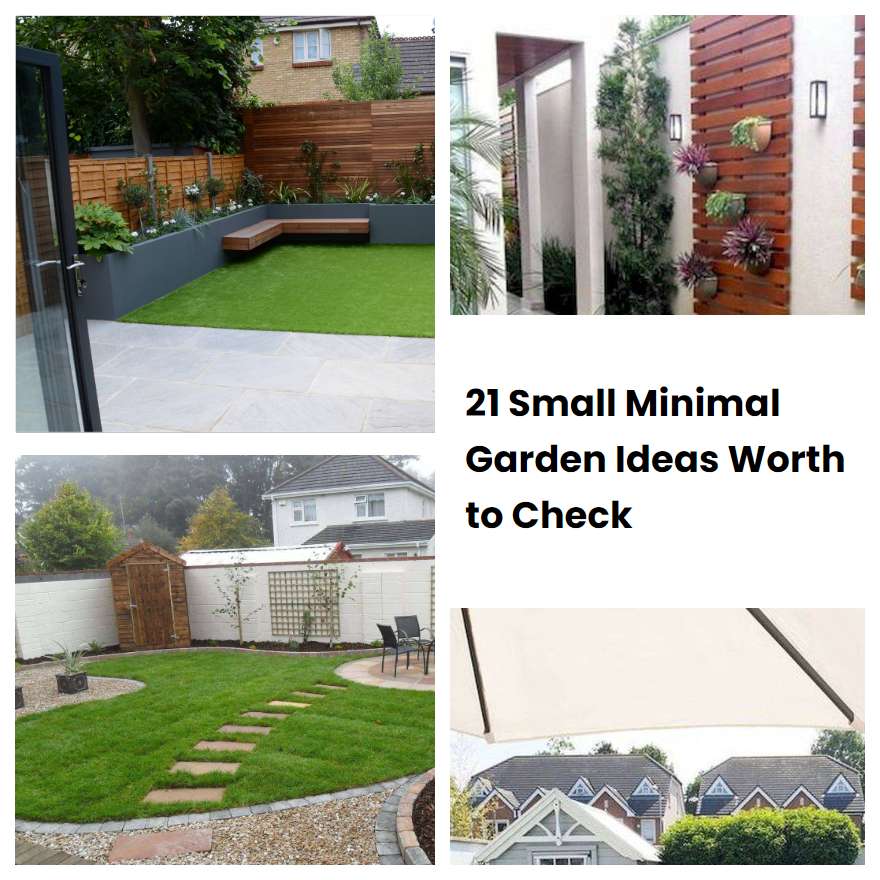 21 Small Minimal Garden Ideas Worth to Check | SharonSable