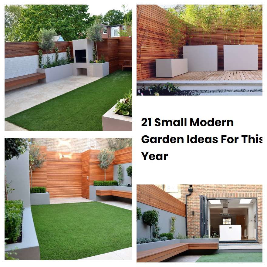 21 Small Modern Garden Ideas For This Year | SharonSable