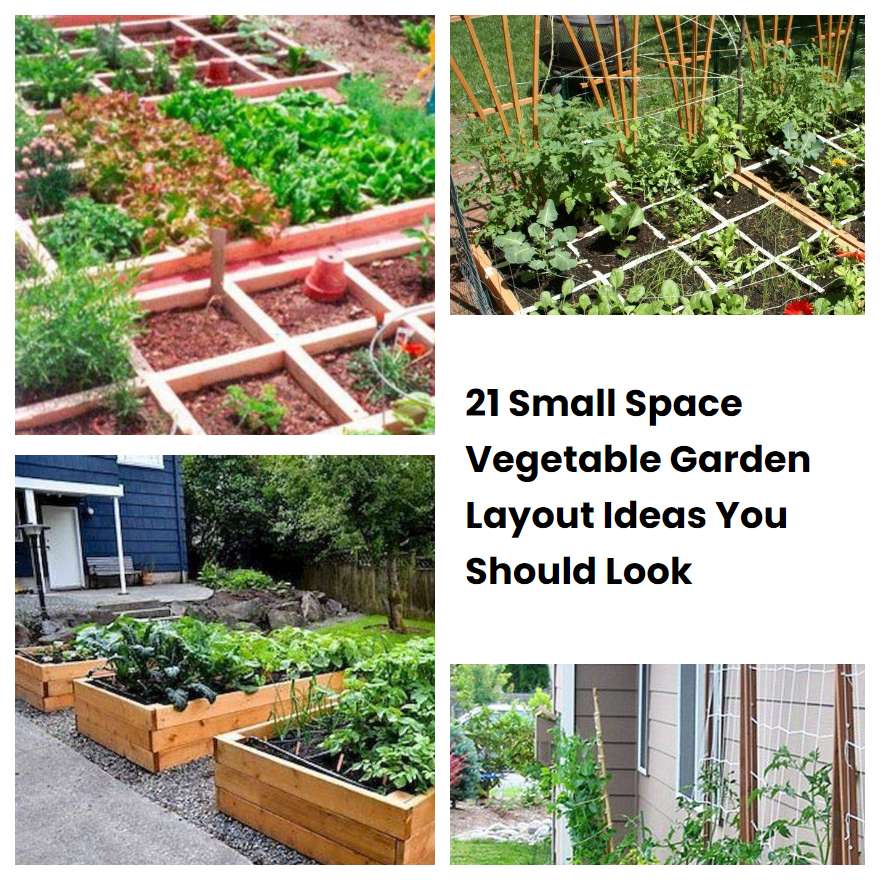 21 Small Space Vegetable Garden Layout Ideas You Should Look SharonSable