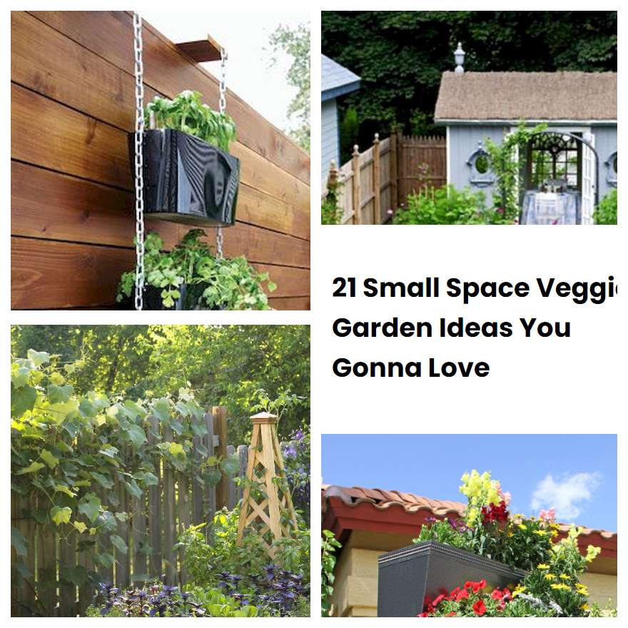 21 Small Space Veggie Garden Ideas You Gonna Love