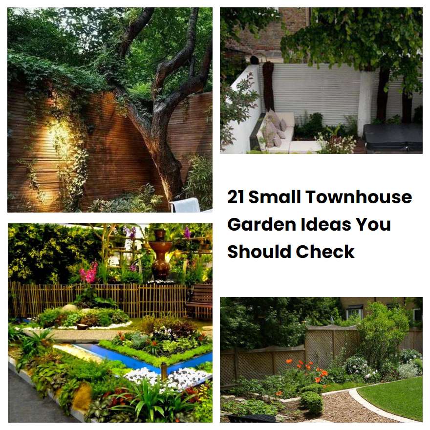 21 Small Townhouse Garden Ideas You Should Check | SharonSable