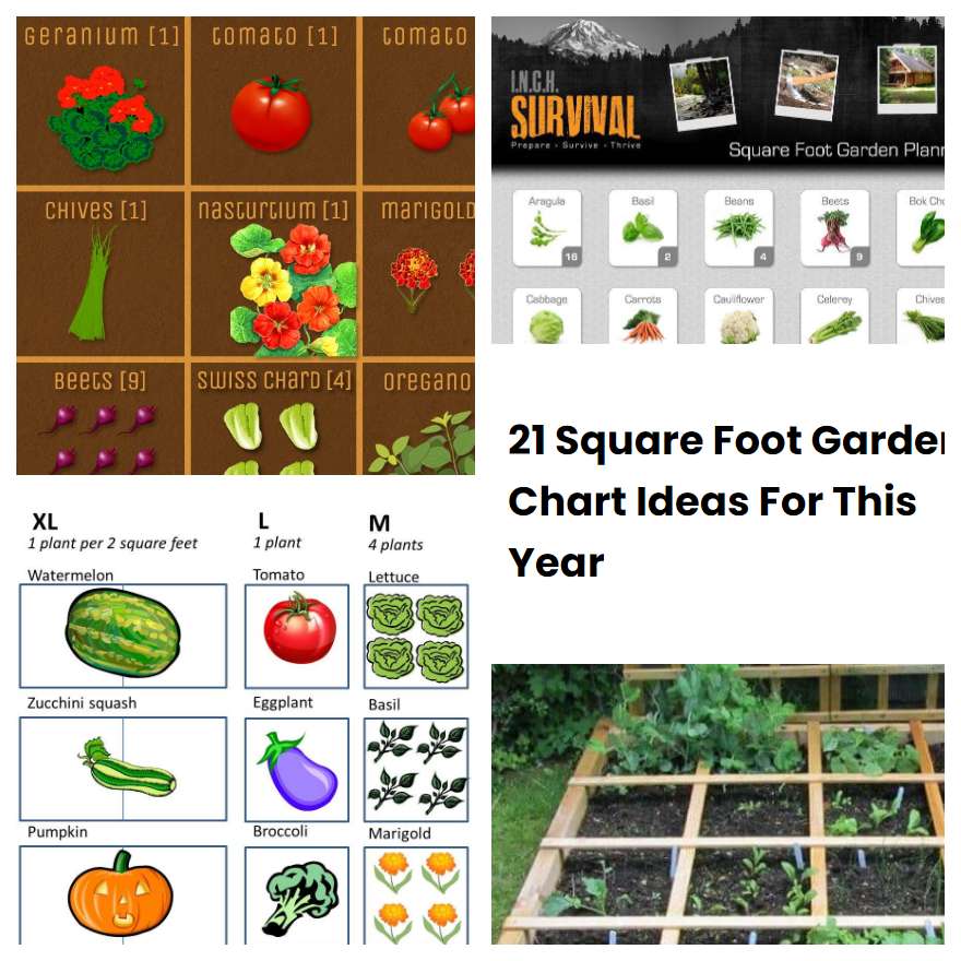 21 Square Foot Garden Chart Ideas For This Year | SharonSable