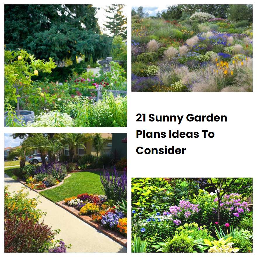 21 Sunny Garden Plans Ideas To Consider | SharonSable