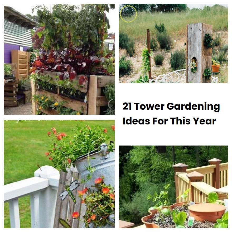 21 Tower Gardening Ideas For This Year | SharonSable