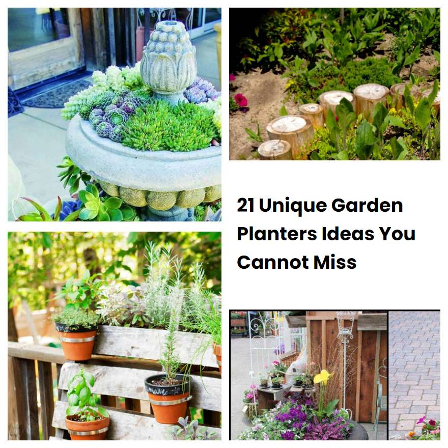 21 Unique Garden Planters Ideas You Cannot Miss | SharonSable