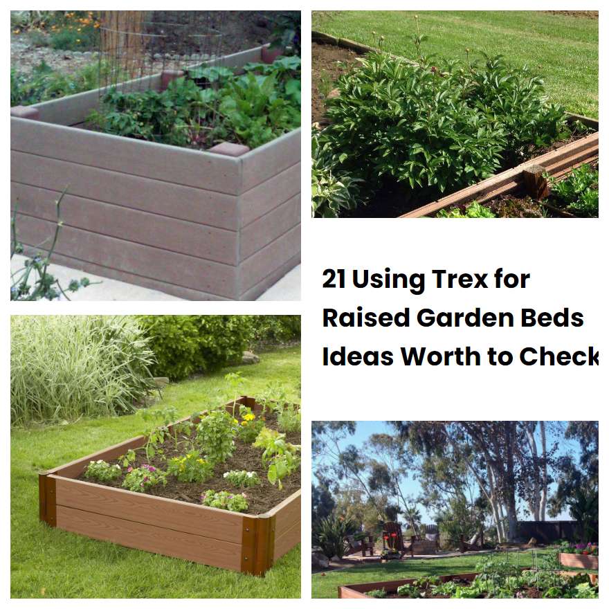 21 Using Trex For Raised Garden Beds Ideas Worth To Check Sharonsable