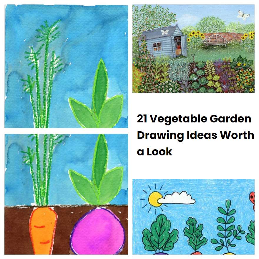 21 Vegetable Garden Drawing Ideas Worth a Look | SharonSable