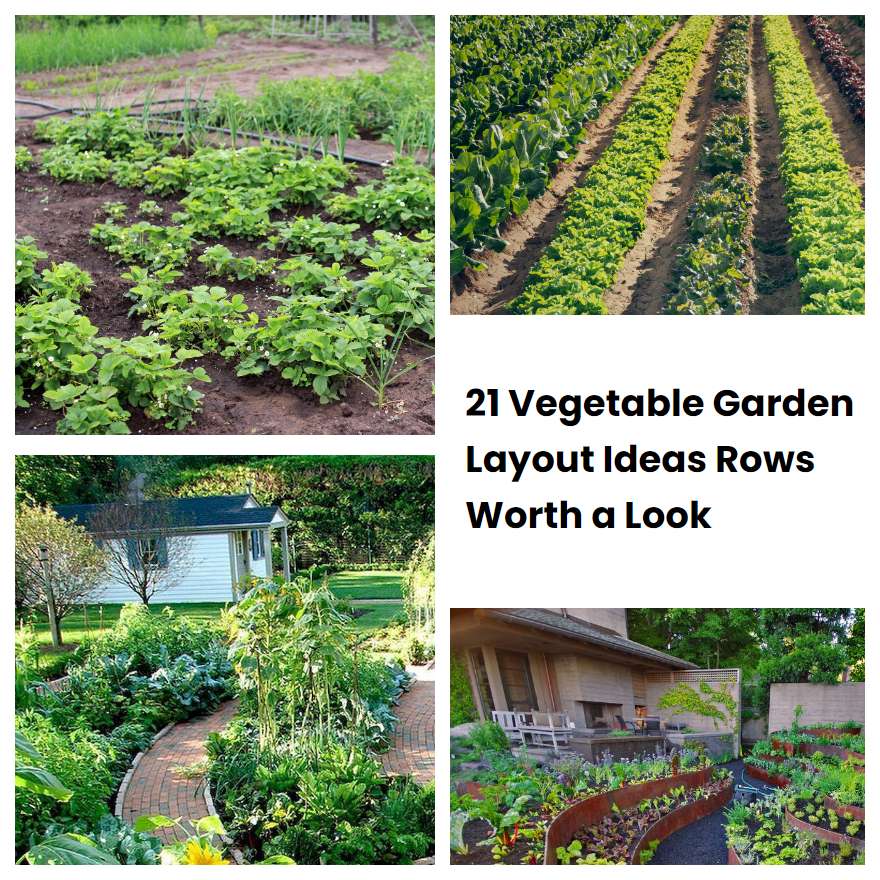 21 Vegetable Garden Layout Ideas Rows Worth a Look | SharonSable