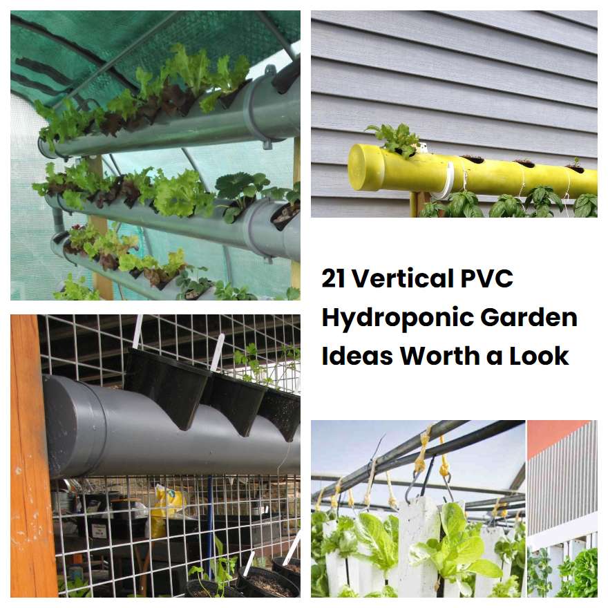 21 Vertical PVC Hydroponic Garden Ideas Worth A Look | SharonSable