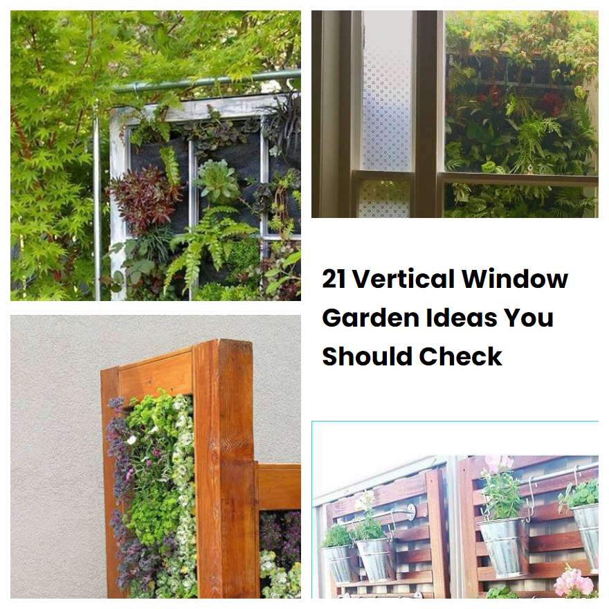 21 Vertical Window Garden Ideas You Should Check | SharonSable