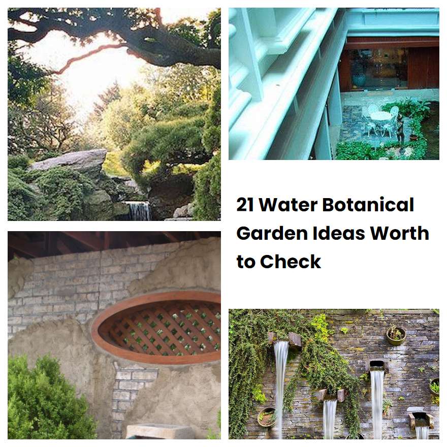 21 Water Botanical Garden Ideas Worth to Check | SharonSable