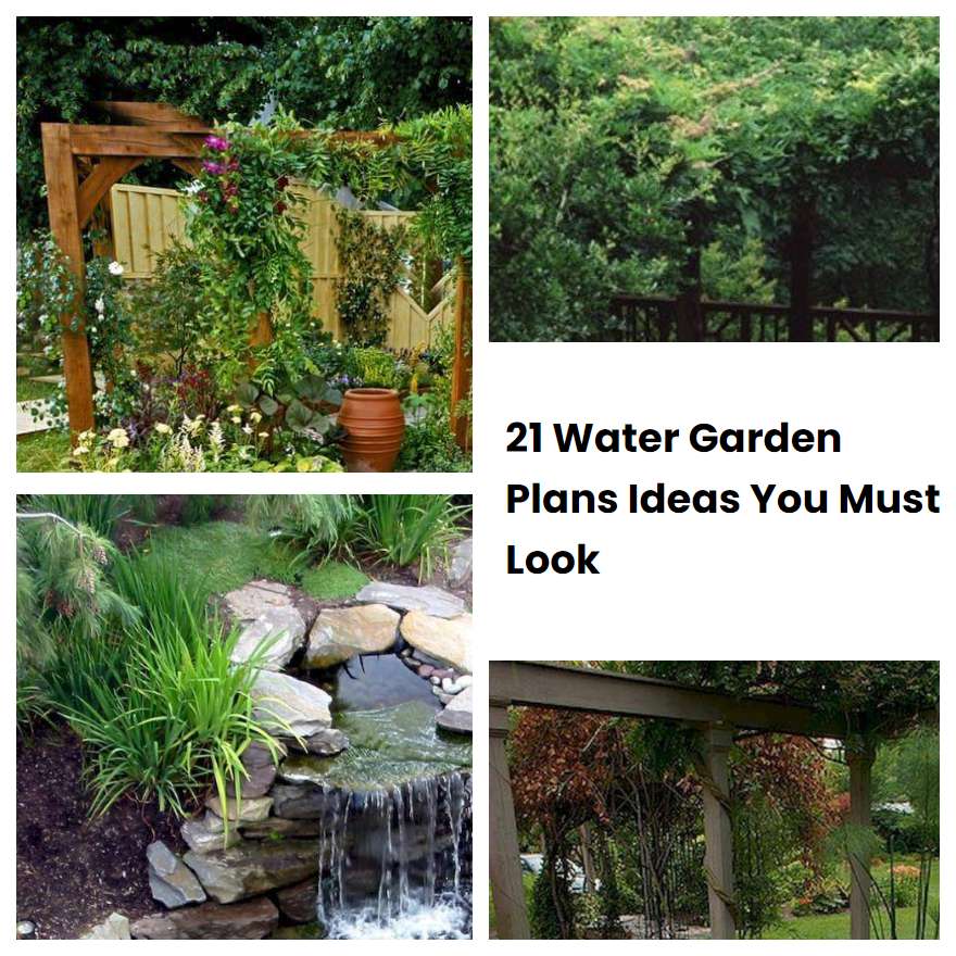 21 Water Garden Plans Ideas You Must Look | SharonSable