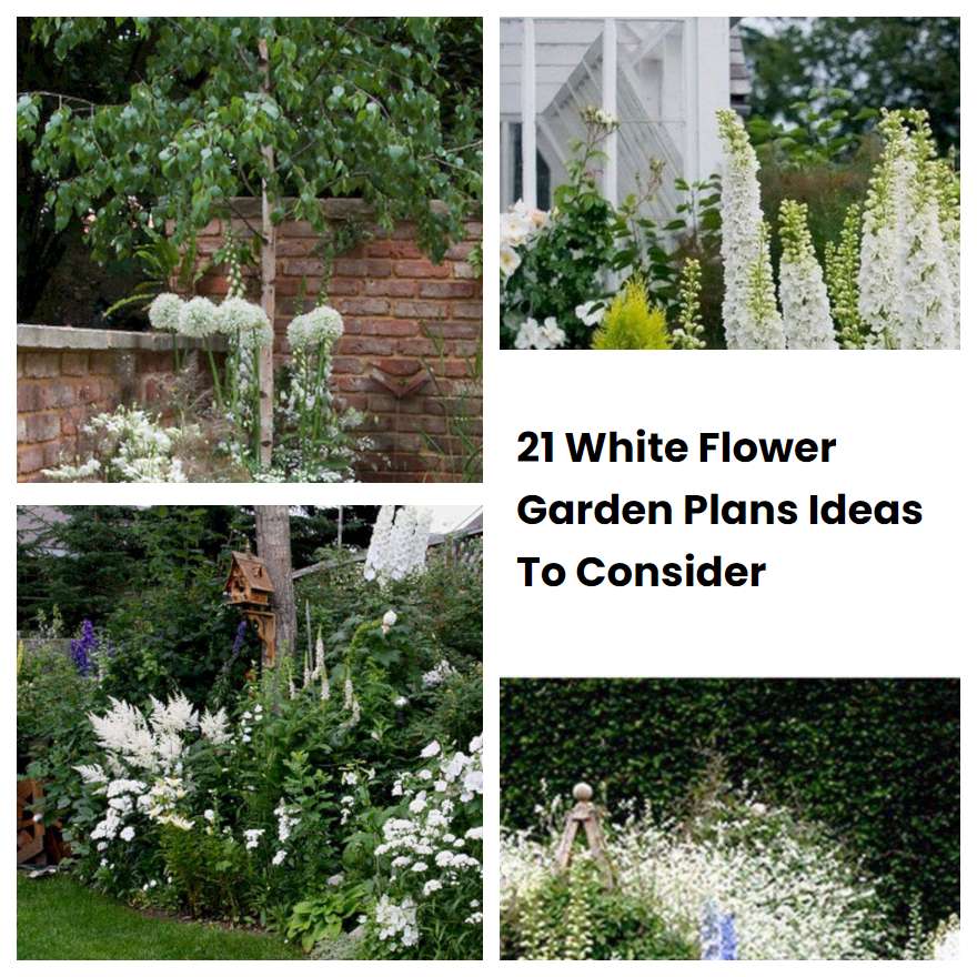 21 White Flower Garden Plans Ideas To Consider