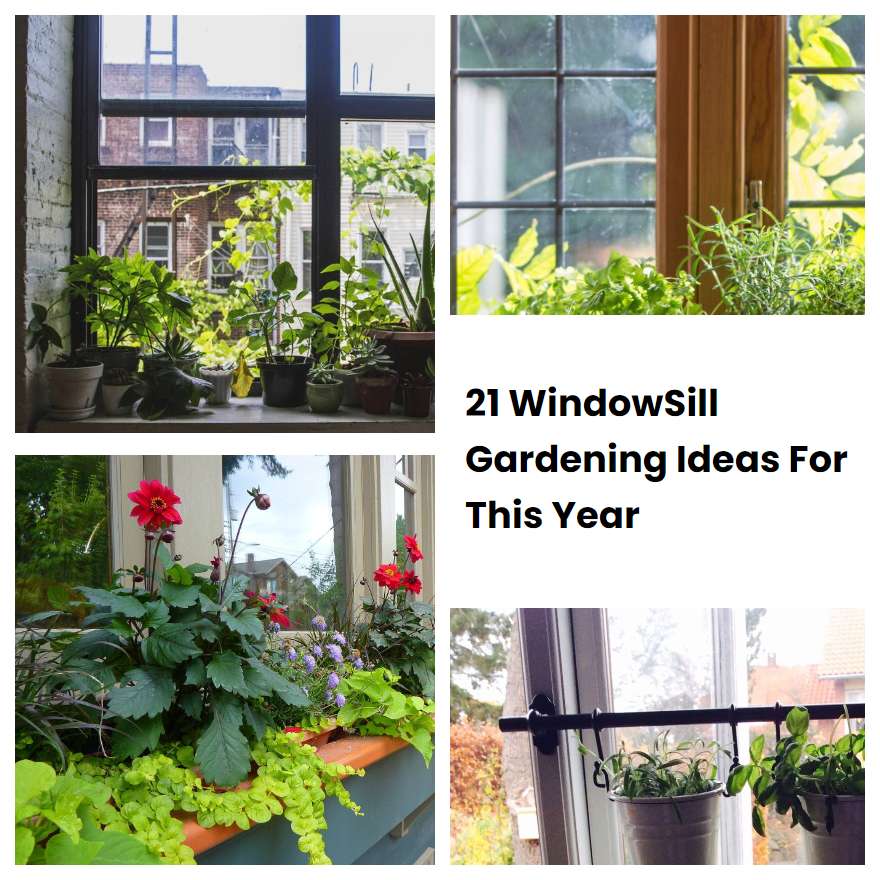 21 WindowSill Gardening Ideas For This Year | SharonSable