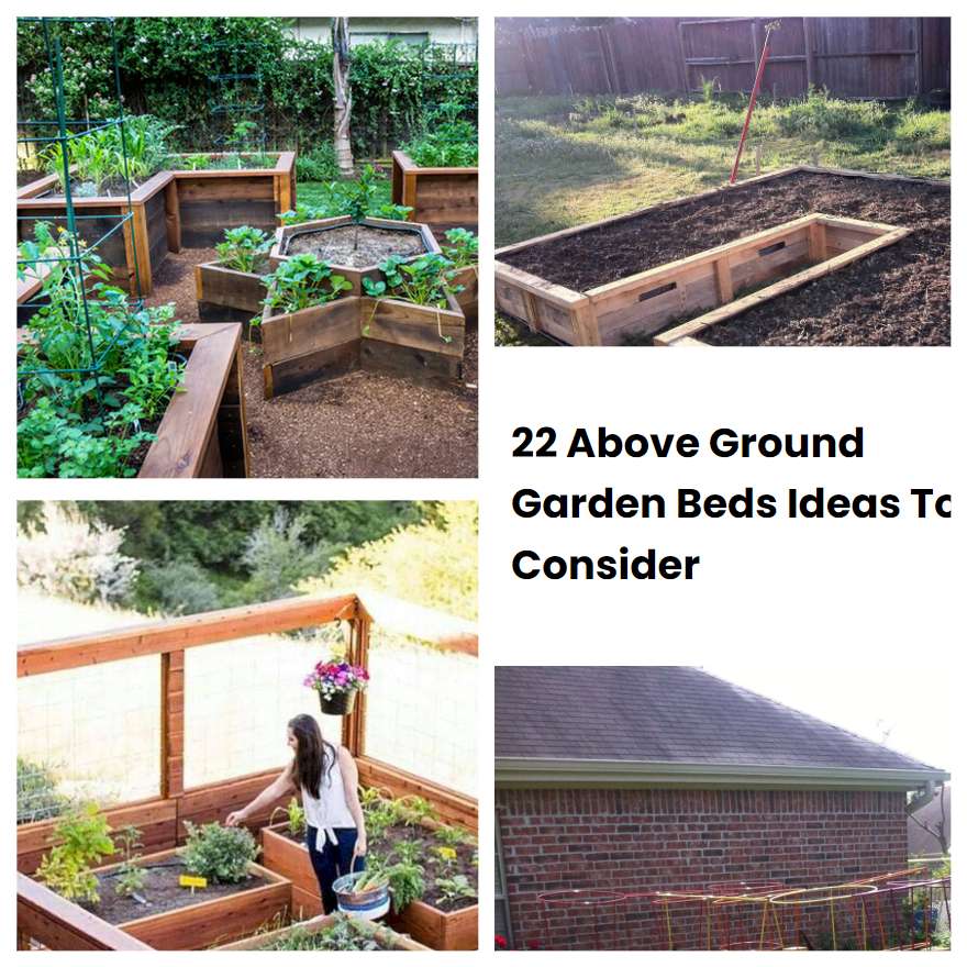 22 Above Ground Garden Beds Ideas To Consider 