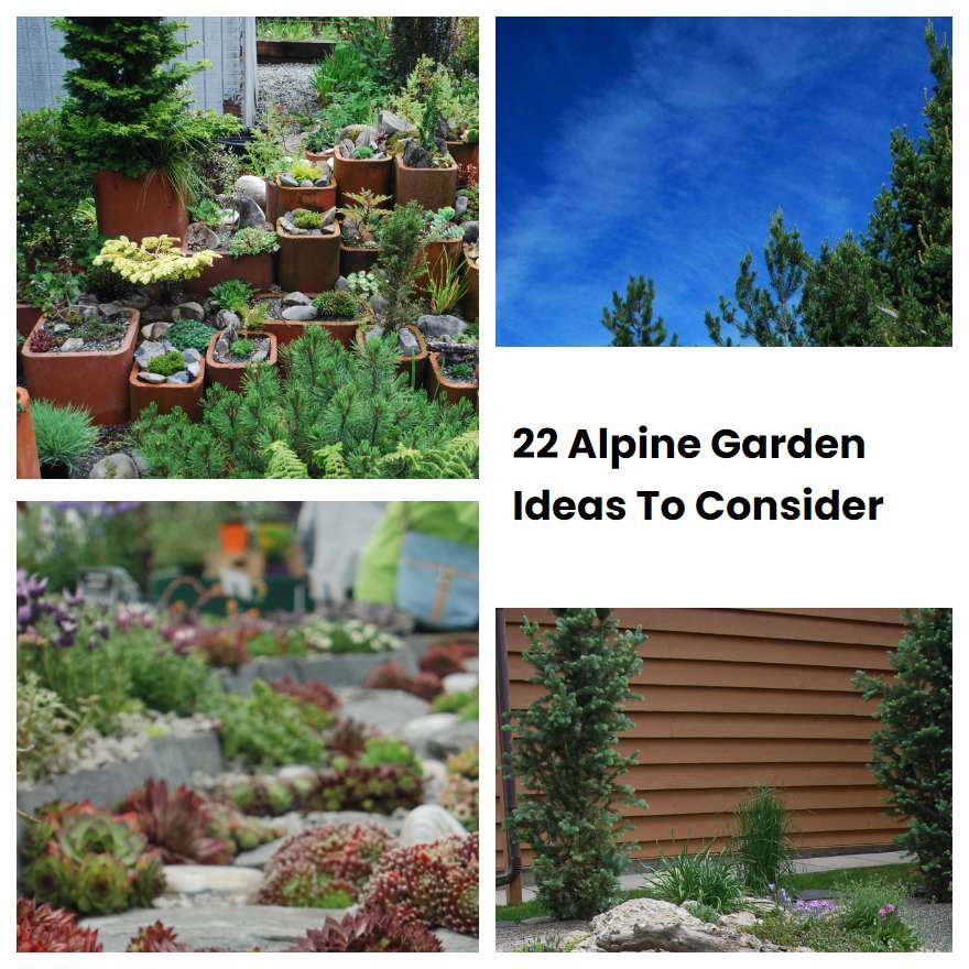 22 Alpine Garden Ideas To Consider | SharonSable