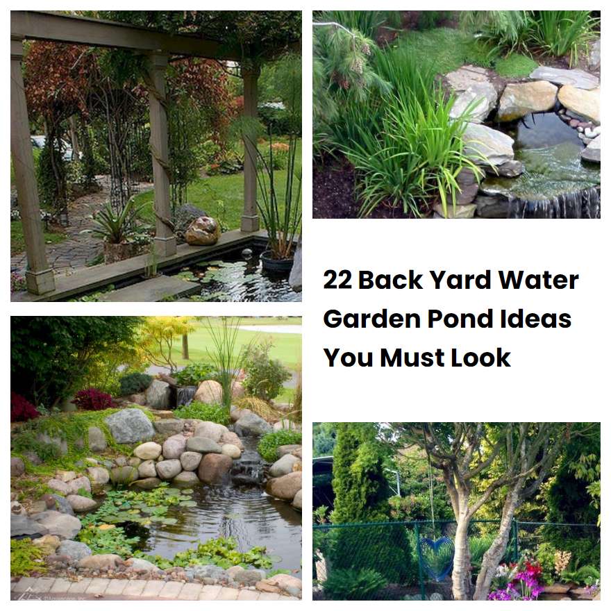 22 Back Yard Water Garden Pond Ideas You Must Look | SharonSable