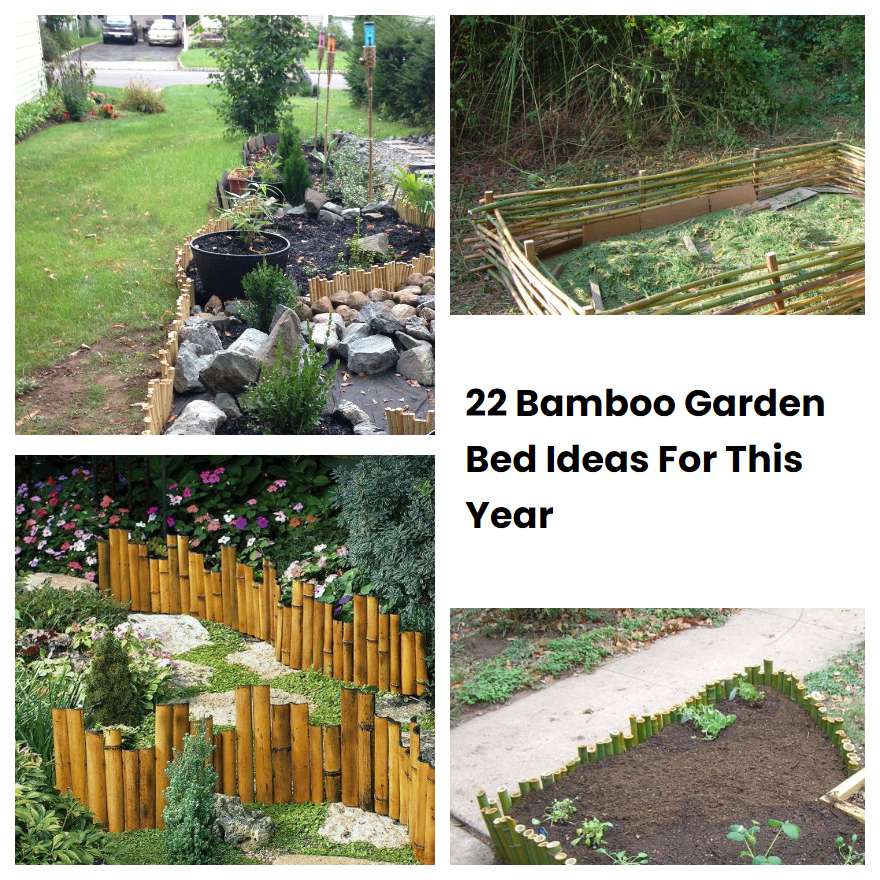 22 Bamboo Garden Bed Ideas For This Year | SharonSable