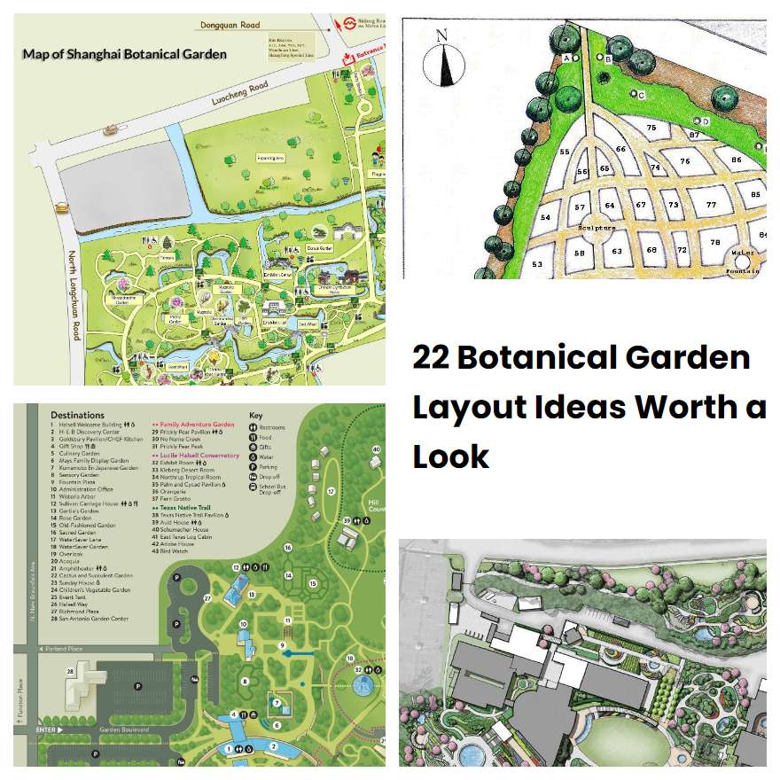 22 Botanical Garden Layout Ideas Worth A Look 