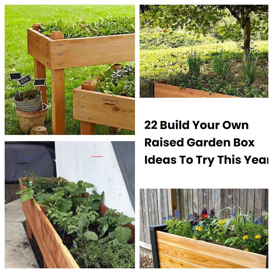 22 Build Your Own Raised Garden Box Ideas To Try This Year | SharonSable