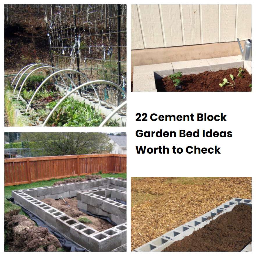 22 Cement Block Garden Bed Ideas Worth to Check