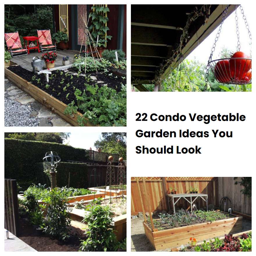 22 Condo Vegetable Garden Ideas You Should Look 