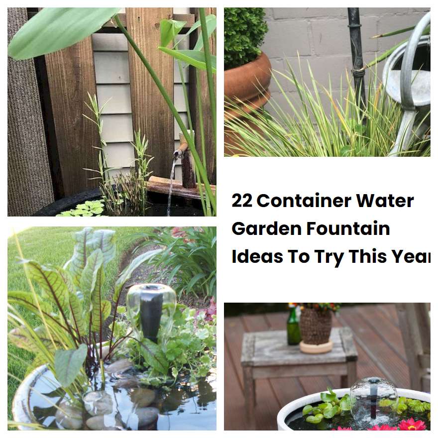 22 Container Water Garden Fountain Ideas To Try This Year | SharonSable