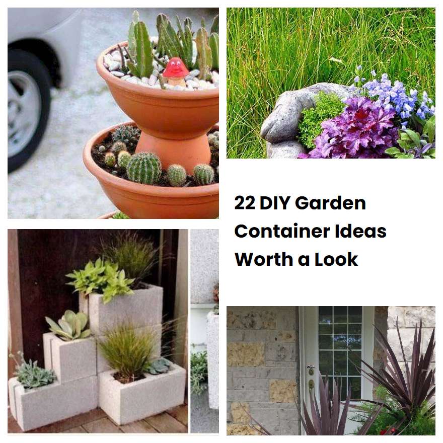 22 DIY Garden Container Ideas Worth a Look | SharonSable