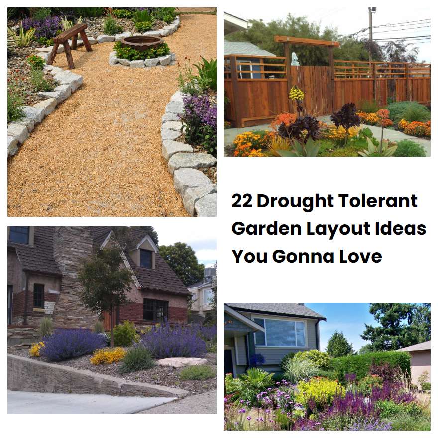 22 Drought Tolerant Garden Layout Ideas You Gonna Love | SharonSable