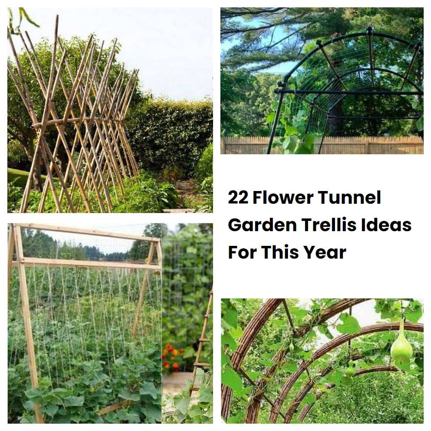 22 Flower Tunnel Garden Trellis Ideas For This Year | SharonSable