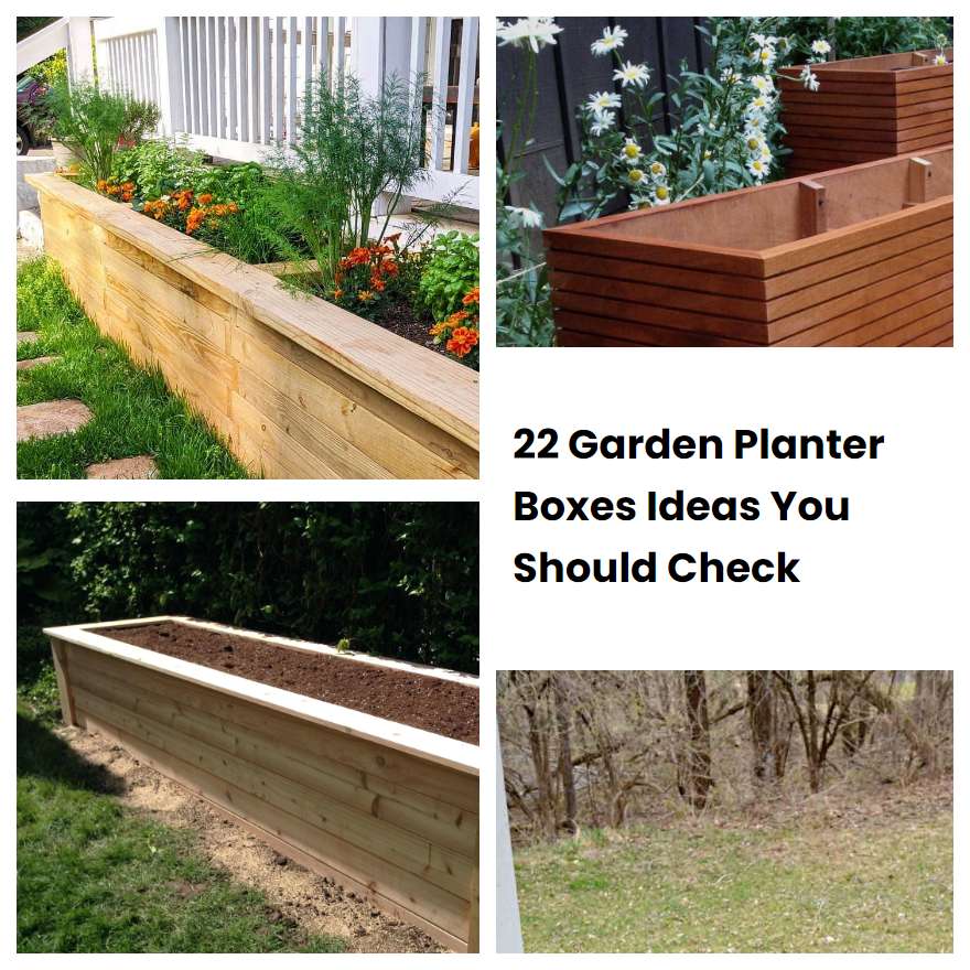 22 Garden Planter Boxes Ideas You Should Check | SharonSable