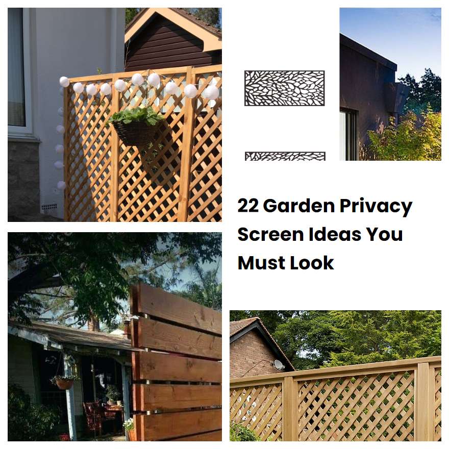 22 Garden Privacy Screen Ideas You Must Look