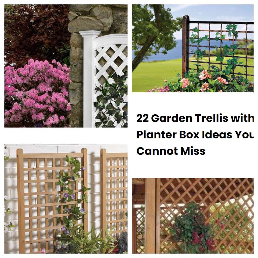 22 Garden Trellis With Planter Box Ideas You Cannot Miss Sharonsable