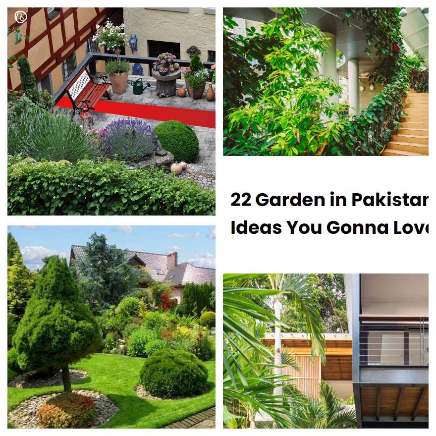 22 Garden in Pakistan Ideas You Gonna Love | SharonSable