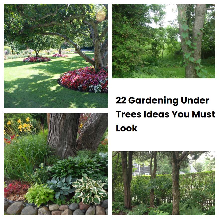 22 Gardening Under Trees Ideas You Must Look | SharonSable