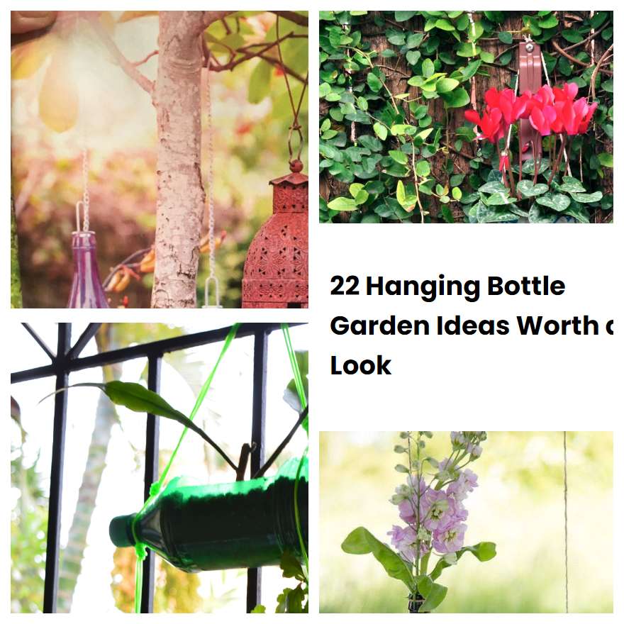 22 Hanging Bottle Garden Ideas Worth A Look | SharonSable