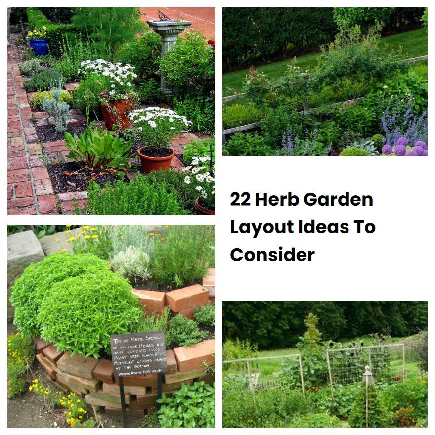 22 Herb Garden Layout Ideas To Consider
