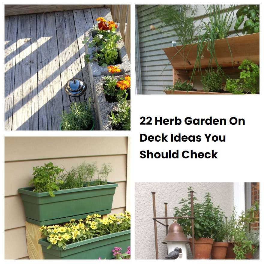 22 Herb Garden On Deck Ideas You Should Check | SharonSable