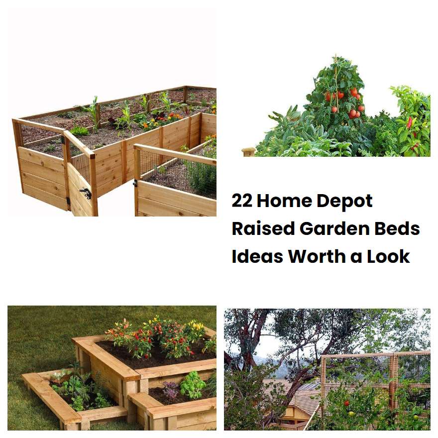 22 Home Depot Raised Garden Beds Ideas Worth a Look | SharonSable