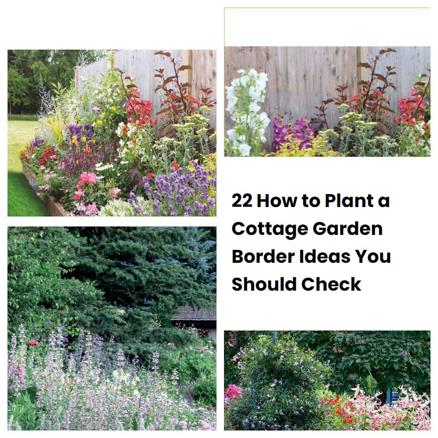 22 How to Plant a Cottage Garden Border Ideas You Should Check ...