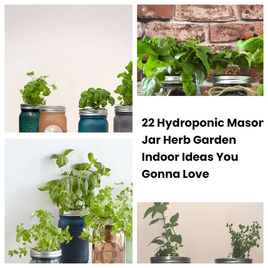 22 Hydroponic Mason Jar Herb Garden Indoor Ideas You Gonna Love