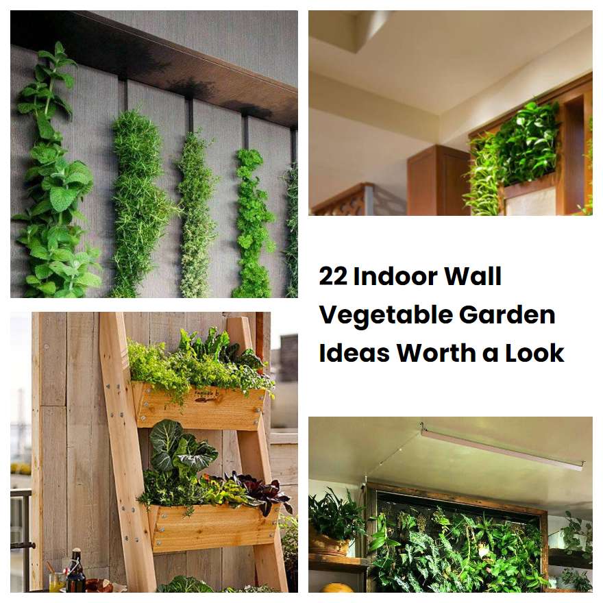 22 Indoor Wall Vegetable Garden Ideas Worth a Look