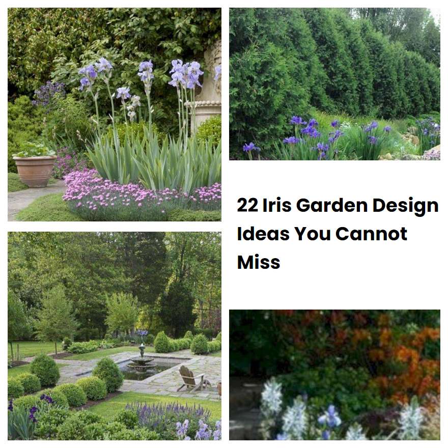 22 Iris Garden Design Ideas You Cannot Miss | SharonSable