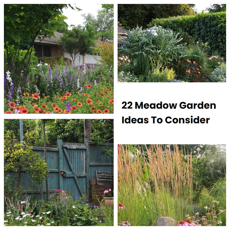 22 Meadow Garden Ideas To Consider