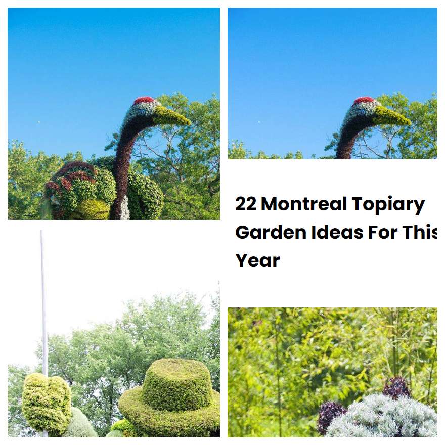 22 Montreal Topiary Garden Ideas For This Year